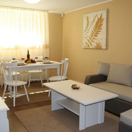 Cluj City Center Apartment 外观 照片